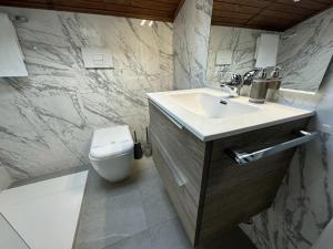 Plose Panorama House في بريسانون: حمام مع حوض ومرحاض