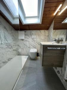 a bathroom with a sink and a toilet and a window at Plose Panorama House in Bressanone