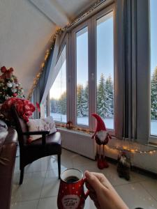 eine Person, die eine Tasse Kaffee in einem Zimmer mit einem Weihnachtsbaum hält in der Unterkunft Home Belić Golija in Radaljica