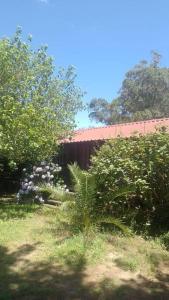 Κήπος έξω από το Contenedor en Punta del Diablo