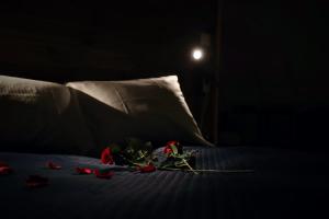 a bunch of roses on a bed in a dark room at Olden Glamping - One with nature in Stryn