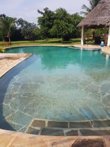 a swimming pool with clear blue water at Edenic in Diani Beach