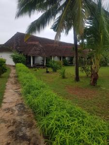 a house with a palm tree next to a field at Edenic in Diani Beach