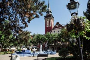 Zahrada ubytování Passage apartment Subotica
