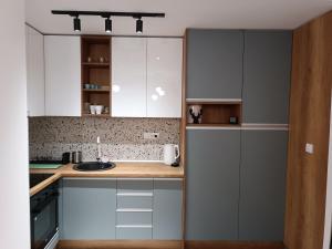 Dapur atau dapur kecil di DIVČA apartman