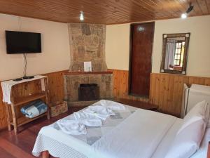 a bedroom with a bed and a fireplace at Pousada da Carmem in Visconde De Maua
