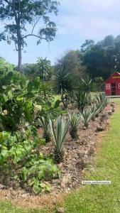 einen Garten mit Pflanzen und ein rotes Haus im Hintergrund in der Unterkunft Rancho 3 marias in Córdoba