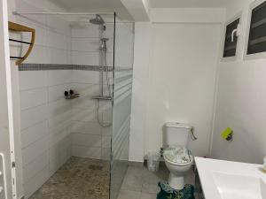 ein Bad mit einem WC und einer Glasdusche in der Unterkunft L Oasis des kassaveries in Capesterre-Belle-Eau