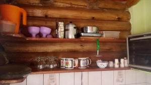 - une étagère de cuisine avec des tasses et des ustensiles dans l'établissement pewmamapu2, à Potrerillos