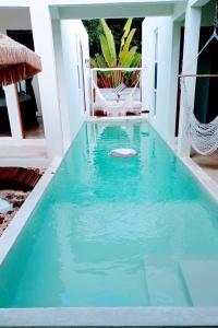 a pool with a frisbee in the water at Villa Kuxtah, Beautiful bungalow with Private Pool in Tulum