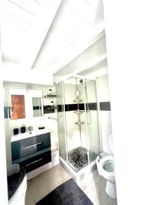 a bathroom with a shower and a toilet at Duplex Marina gosier- vue Mer et bateaux in Le Gosier