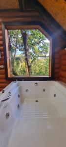 a bath tub with a window in a room at Ecos da Terra Chalés in Monte Verde