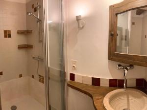a bathroom with a sink and a shower and a mirror at Gîte Parassy, 2 pièces, 2 personnes - FR-1-586-31 