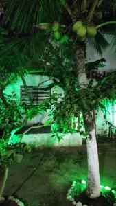 una palmera con luces verdes junto a un edificio en Casa Praia do Forte em Cabo Frio, en Cabo Frío