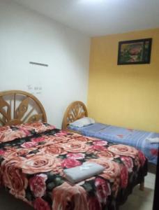 Tempat tidur dalam kamar di Hostal Delfín