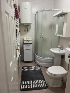 a bathroom with a shower and a toilet and a sink at Apartman B&S Apatin in Apatin