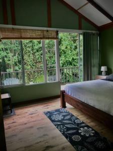 ein Schlafzimmer mit grünen Wänden, einem Bett und Fenstern in der Unterkunft Cabaña Río Blanco Guapiles Costa Rica in Guápiles