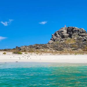 una persona parada en la cima de una roca en una playa en CABAÑA LA CASONA, salón, comedor y cocina amplia, con vista a la playa y las 3 islas, con baño en la habitación más uno adicional, en Punta de Choros