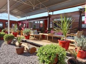 Ảnh trong thư viện ảnh của Casa TINY ở San Pedro de Atacama