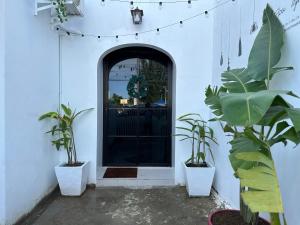 a white building with plants in front of a door at Benita At the Plaza in Dolores