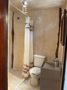 Un baño con inodoro, ducha y lavabo. en Playa las palmas, en Tulum