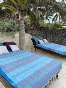 twee bedden zittend op het zand onder een palmboom bij Playa las palmas in Tulum