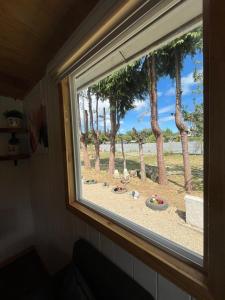 uma janela com vista para uma praia com palmeiras em Cabaña EL VIEJO SAM em Curaco de Velez