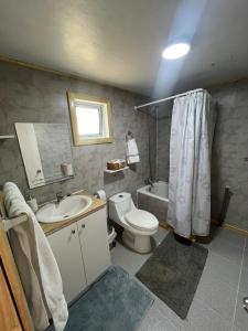 uma casa de banho com um WC, um lavatório e um espelho. em Cabaña EL VIEJO SAM em Curaco de Velez