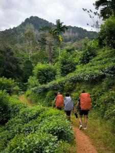 três pessoas a andar por uma estrada de terra batida em Rainforest cabin em Deniyaya