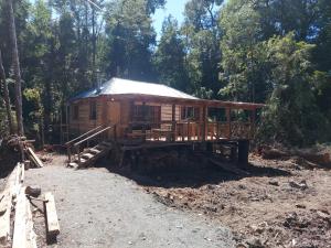 a wooden cabin in the middle of a forest at Cabañas Cauchao Chaitén in Chaitén
