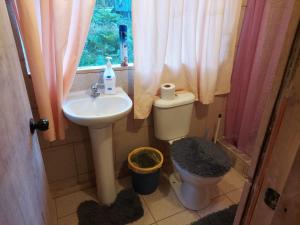 a bathroom with a sink and a toilet and a window at Cabañas Cauchao Chaitén in Chaitén +26 photos