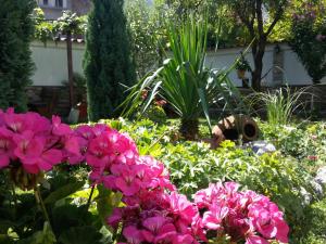 A garden outside Keremidchieva Kushta Guest House