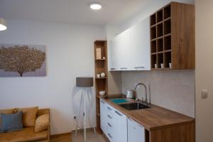 Cucina o angolo cottura di Vanila 379