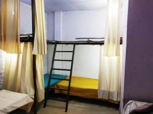 a bunk bed with a ladder in a room at Baba Boys Hostel and Baba Trailer Truck Transport in Lucknow