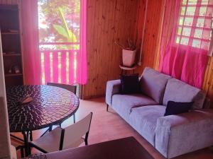 a living room with a couch and a table at Appartement idéalement situé in Saint-Denis