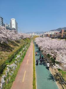a row of cherry trees with people walking down a road at BlueMoon 2Bedroom 1Toilet in Seoul