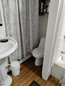 a bathroom with a toilet and a shower curtain at Cozy, spacious and peaceful in Providence