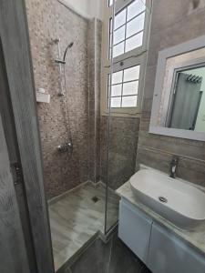 La salle de bains est pourvue d'une douche en verre et d'un lavabo. dans l'établissement زافيرو اتينيوس, à Alexandrie