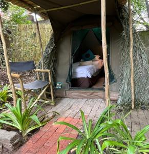 a bed and a chair in a tent at Sandton Safari Camp in Johannesburg