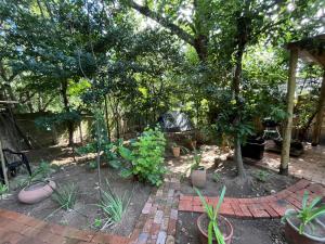 a garden with plants and trees and a brick patio at Sandton Safari Camp in Johannesburg