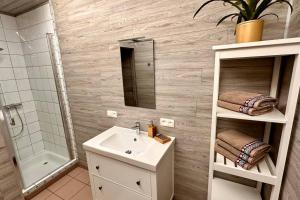 ein Bad mit einem Waschbecken und einem Spiegel in der Unterkunft Le studio Héloïse - BeCosy rentals - 2 ad + 1 enf in Péruwelz