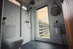 a bathroom with a toilet and a window at The Treehouse at Humblebee Hall in Worcester