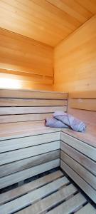 a inside of a sauna with two pillows at Guest House Chepelare in Chepelare