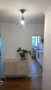 uma cozinha com um vaso de plantas em cima de um armário em Jolie appartement proche bords de Loire em Orléans