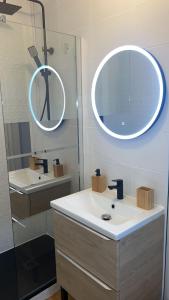 uma casa de banho com um lavatório e um espelho em Jolie appartement proche bords de Loire em Orléans