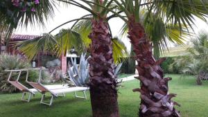 Zahrada ubytování B&B "Corte San Tomaso"