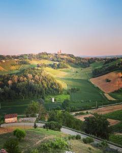uitzicht op een groen veld met een weg bij Agriturismo I Surì Asti in Asti
