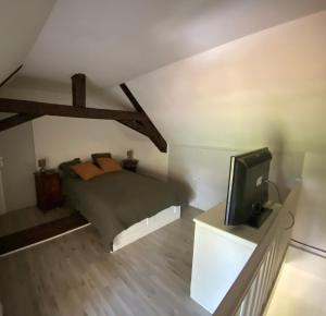 TV a/nebo společenská místnost v ubytování L’Orangerie de Malpas