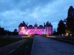 um castelo iluminado em rosa à noite em Gîte Le Clos Controis em Contres