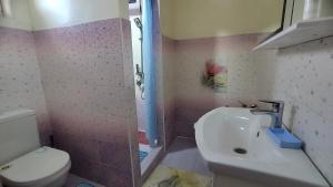 ein Bad mit einem Waschbecken, einem WC und einer Dusche in der Unterkunft Гостевой дом Datka in Karakol